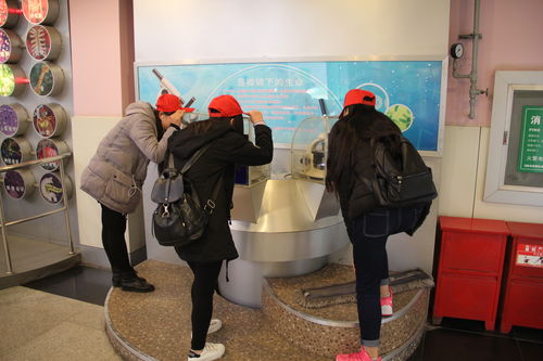 樂于探索，熱愛科學 酒店管理系青年志愿者赴科技館開展專業(yè)融合之旅